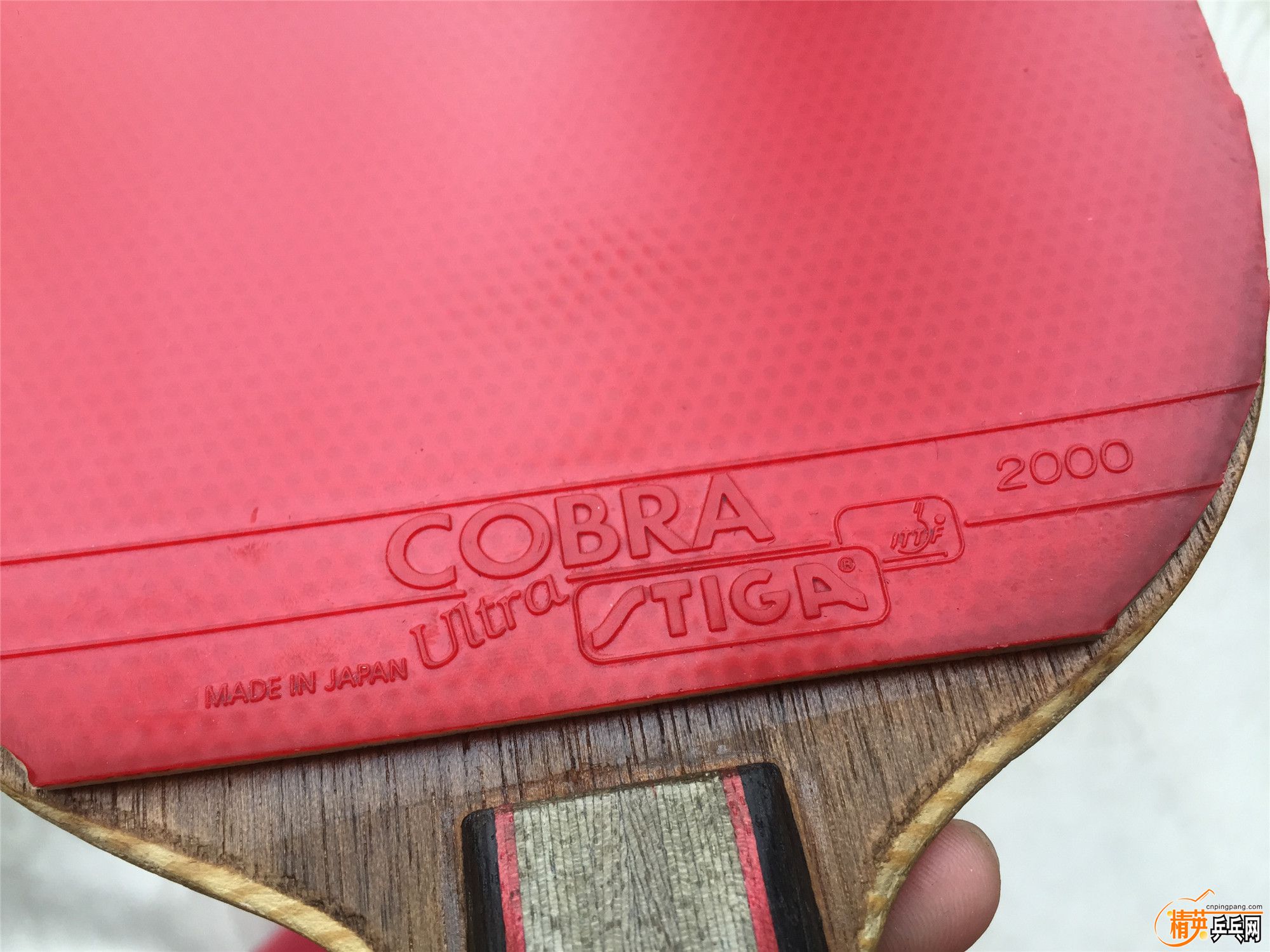 STIGA COBRA�̱�.jpg