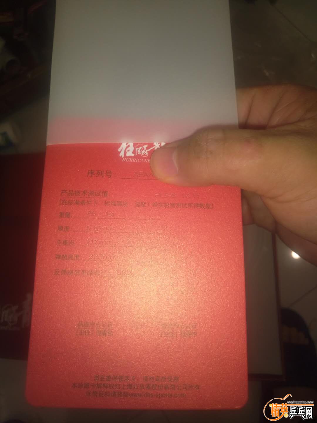 919342155007154837.jpg