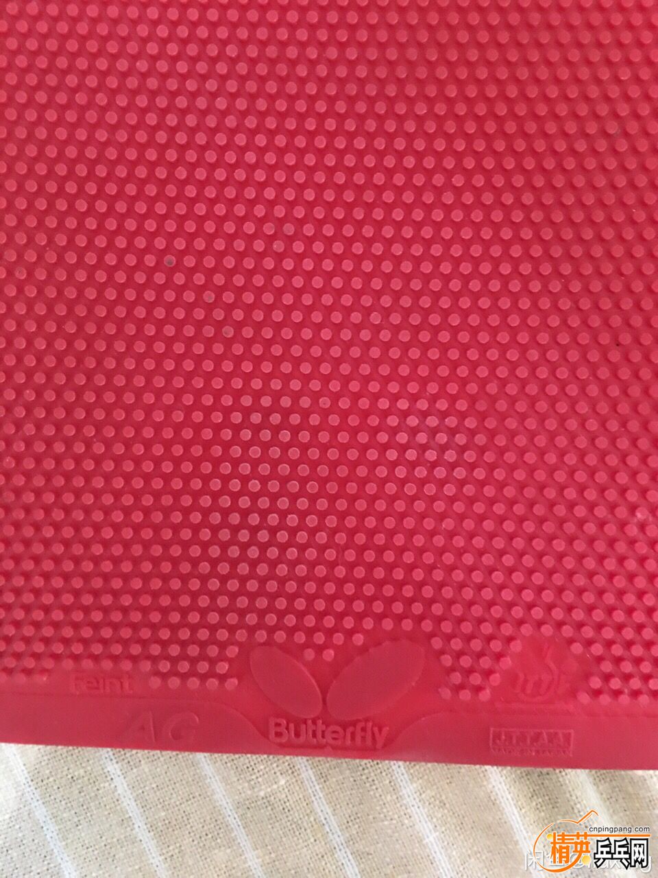 ϸƬ