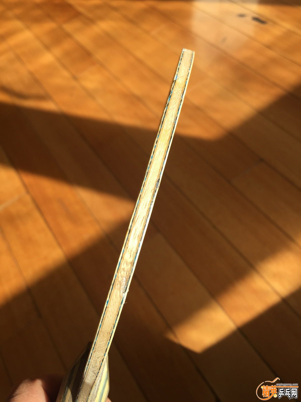 o87visIMG_7805.JPG