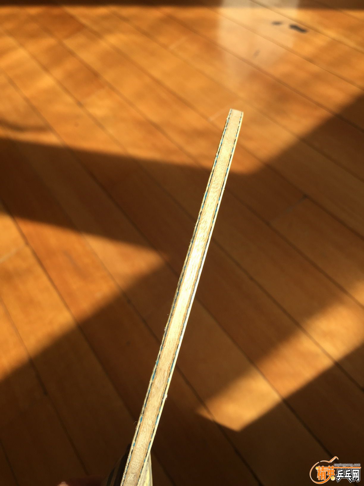 o87visIMG_7806.JPG