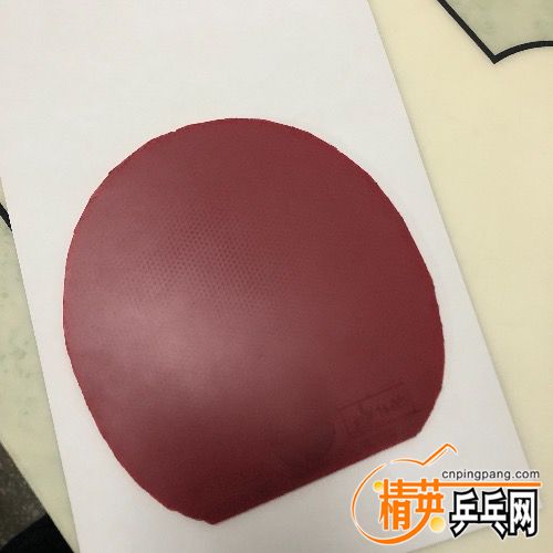 81FFBDF1-5849-4D63-A33C-3A58E2F88CE3.jpeg