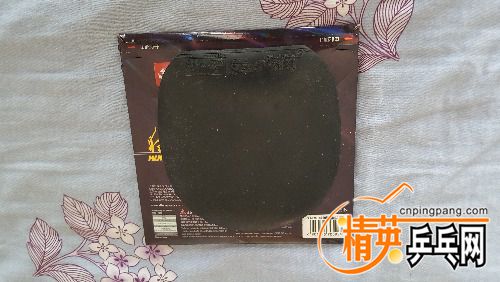 20180205_101558.jpg