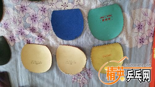20180205_102028.jpg