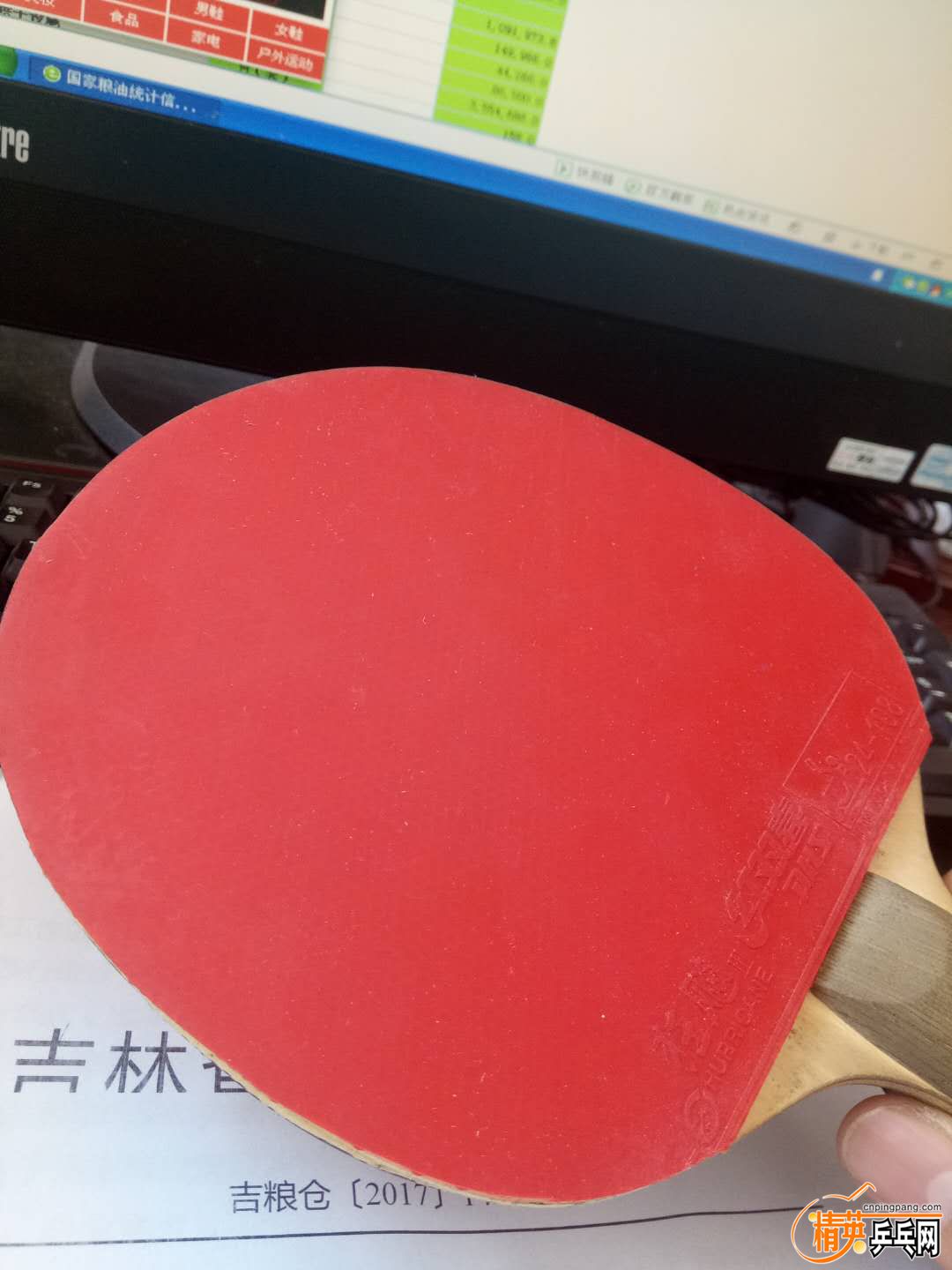 403899387396352358.jpg