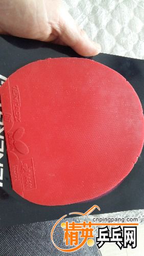 20180208_124826.jpg