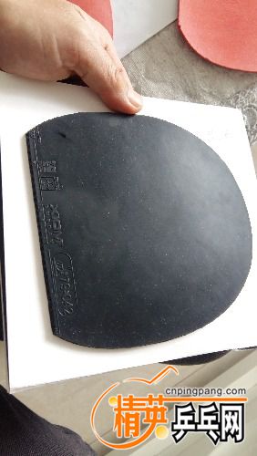 20180208_130211.jpg