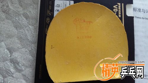 20180208_130556.jpg
