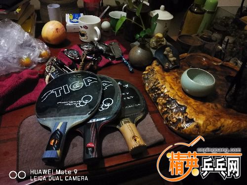 IMG_20180211_004924.jpg