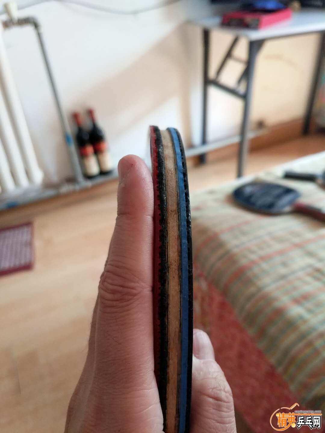 130128228601326050.jpg