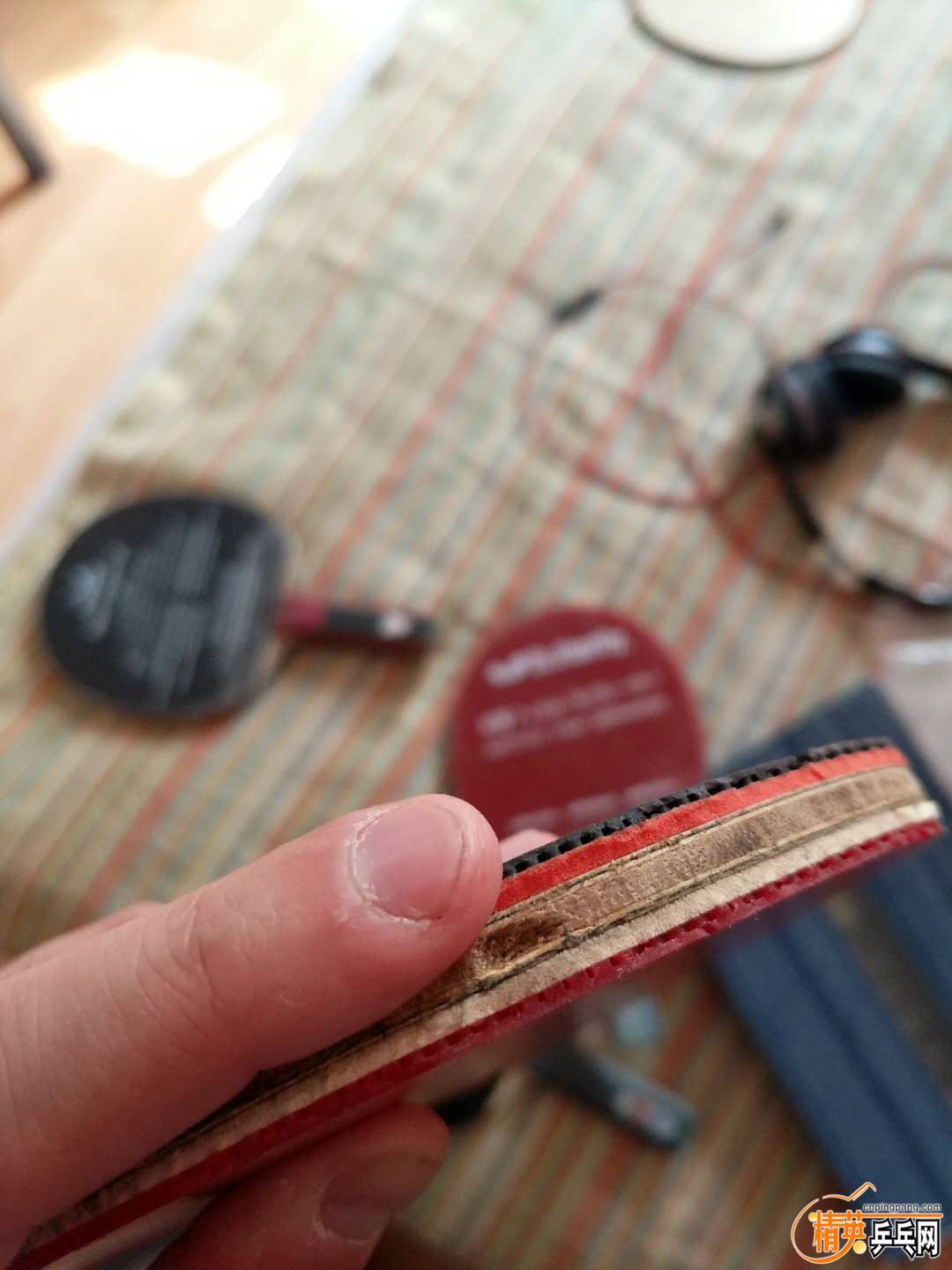568861566680417525.jpg