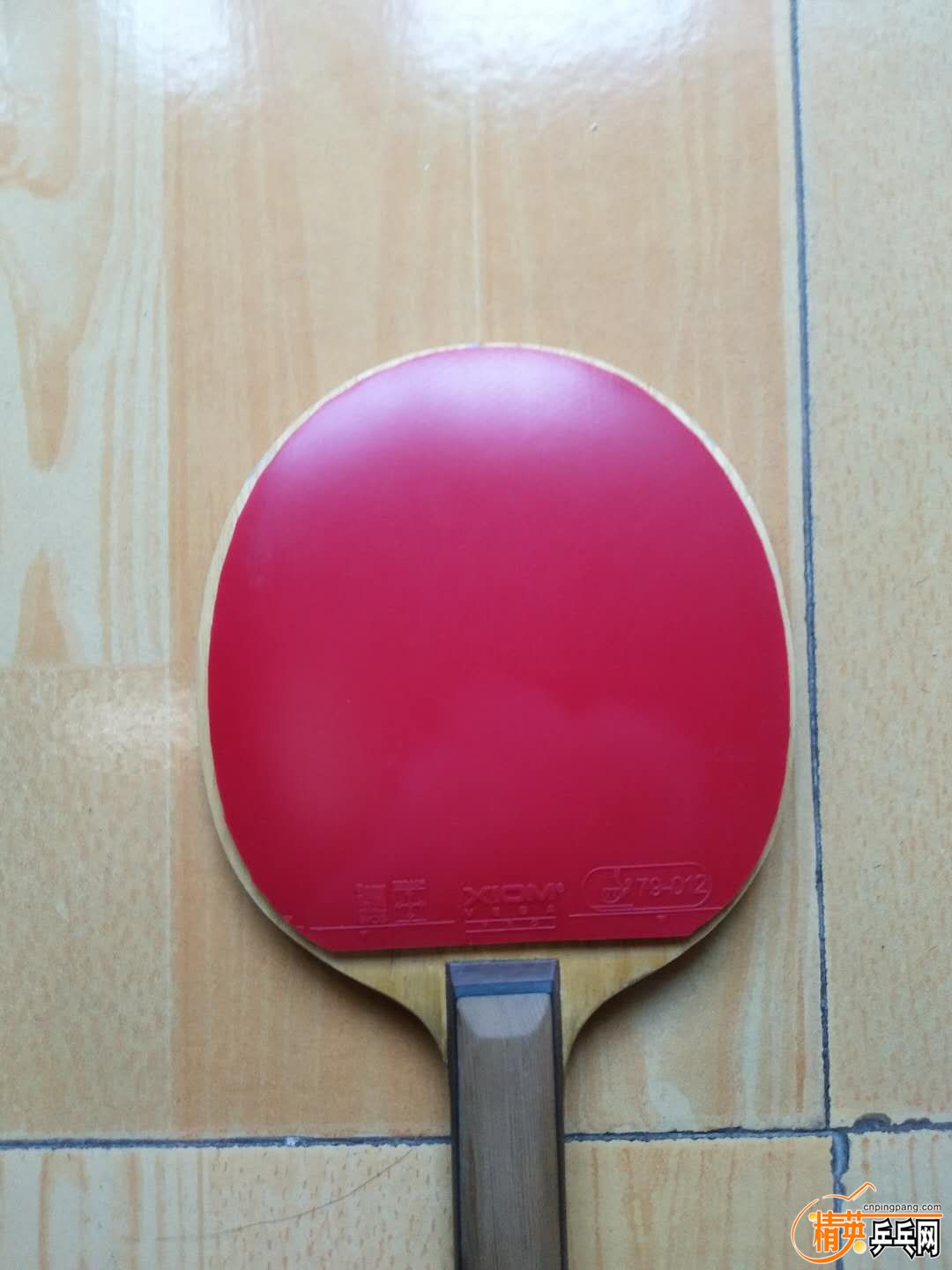 530557553256418014.jpg