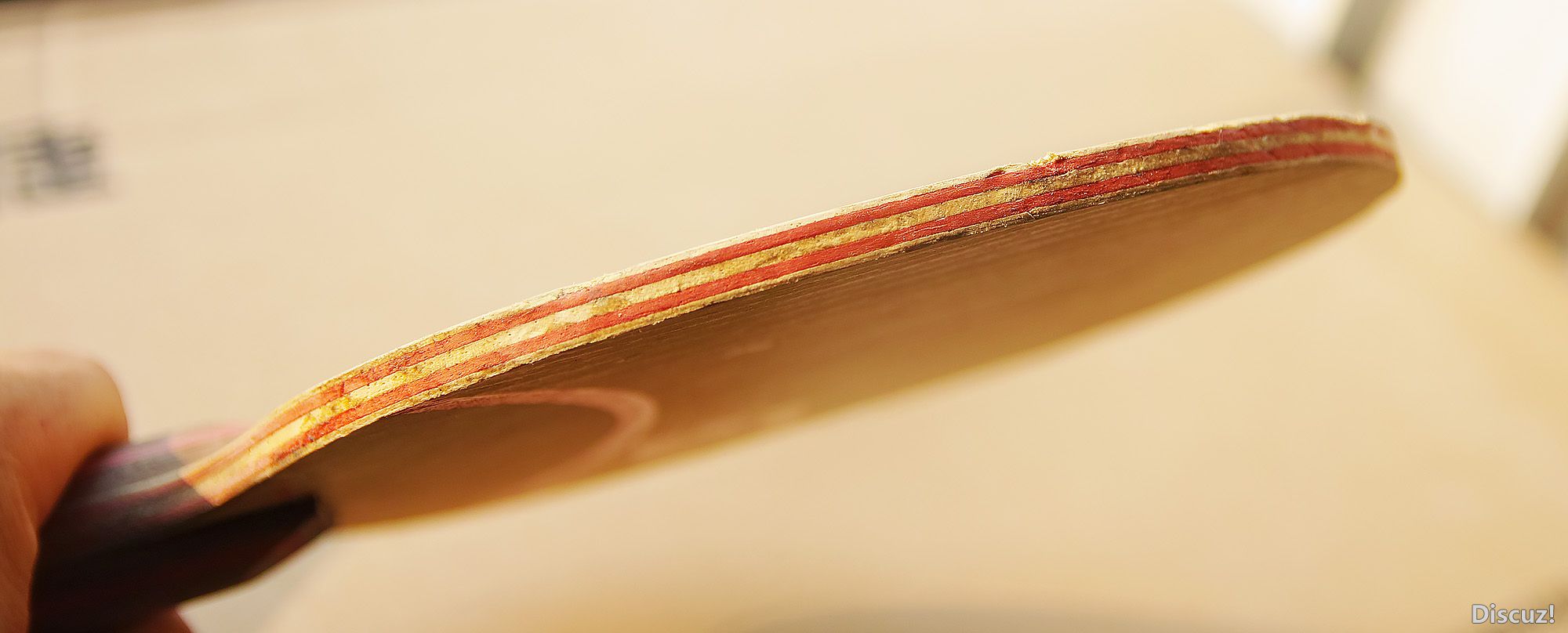 SDQ_3919.jpg