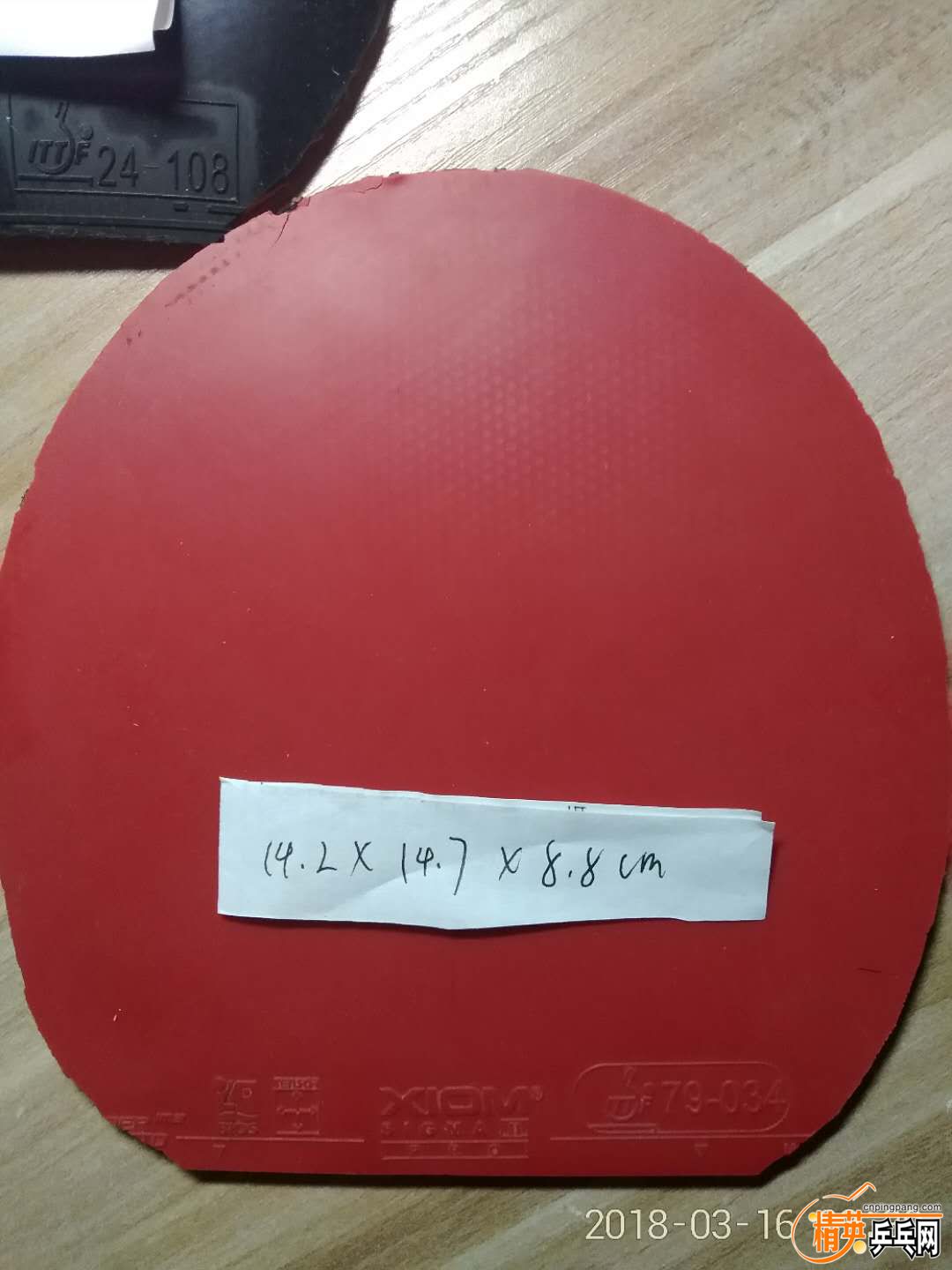 371317052401106308.jpg