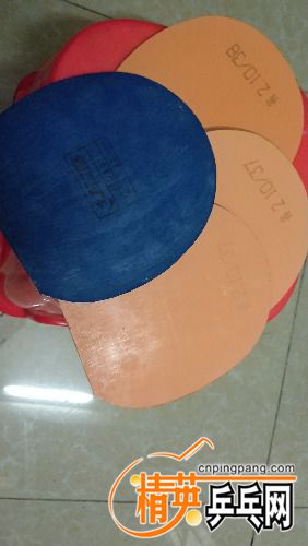 IMG_20180304_091555_HHT.jpg