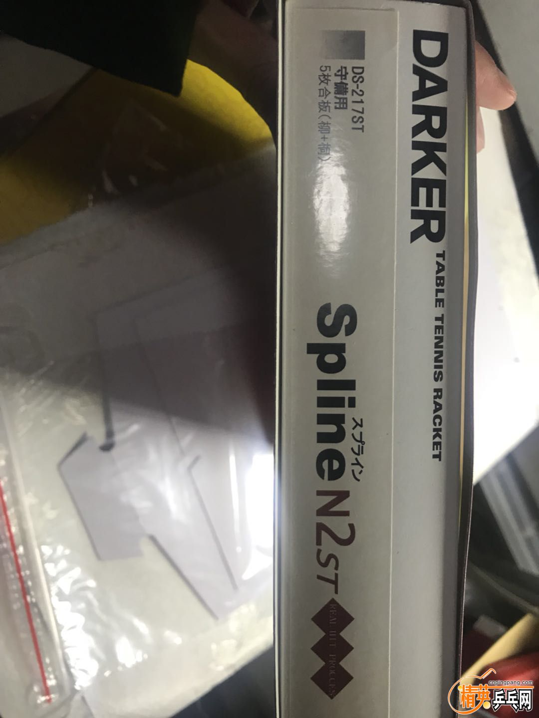 1081787983.jpg