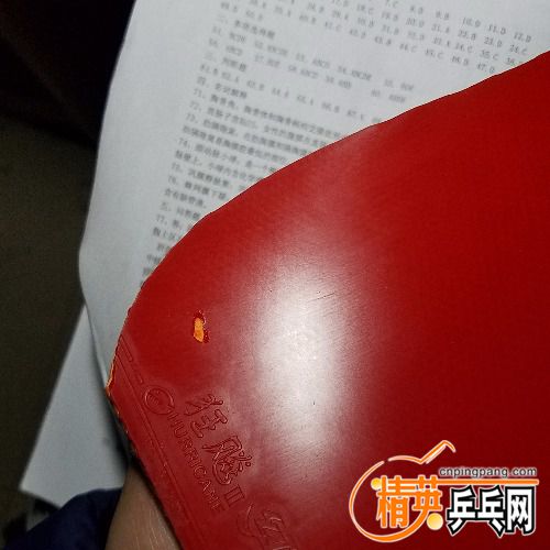 20180321_234431.jpg