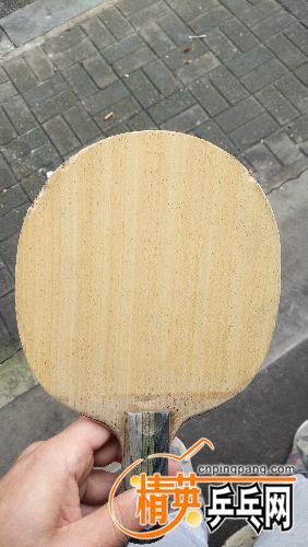 IMG20180326093559.jpg
