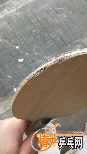IMG20180326093554.jpg