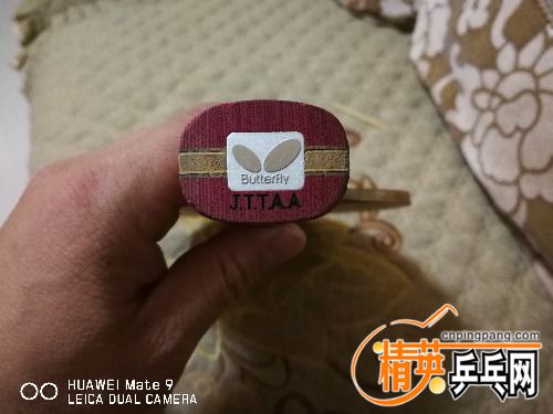 IMG_20180327_140436.jpg