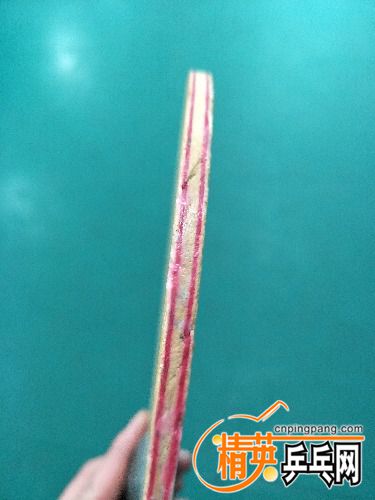 IMG20180307151013.jpg