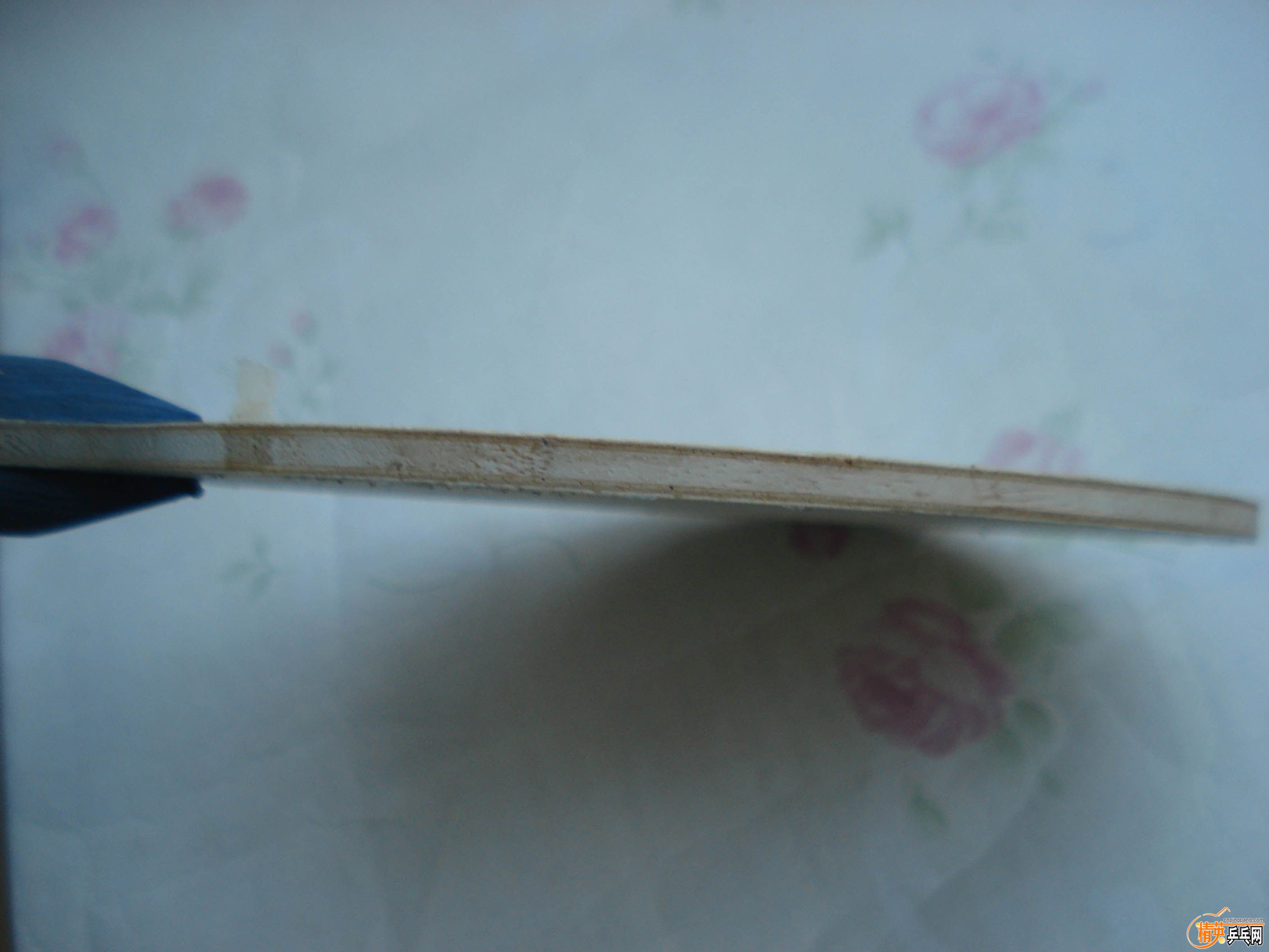 DSC06960.jpg