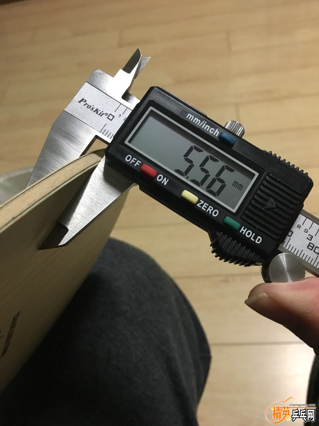 431071880056310561.jpg