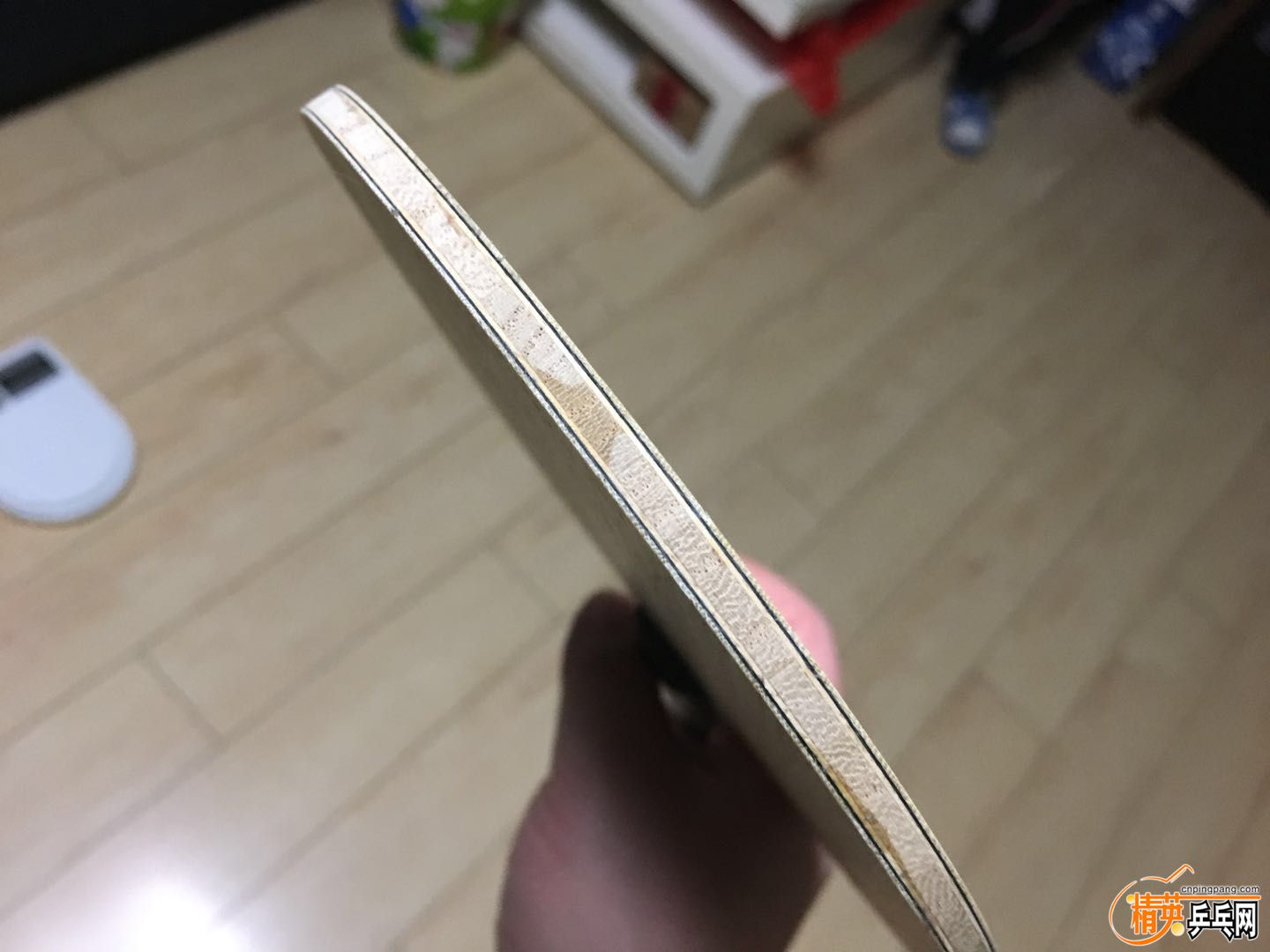 645158731275325284.jpg