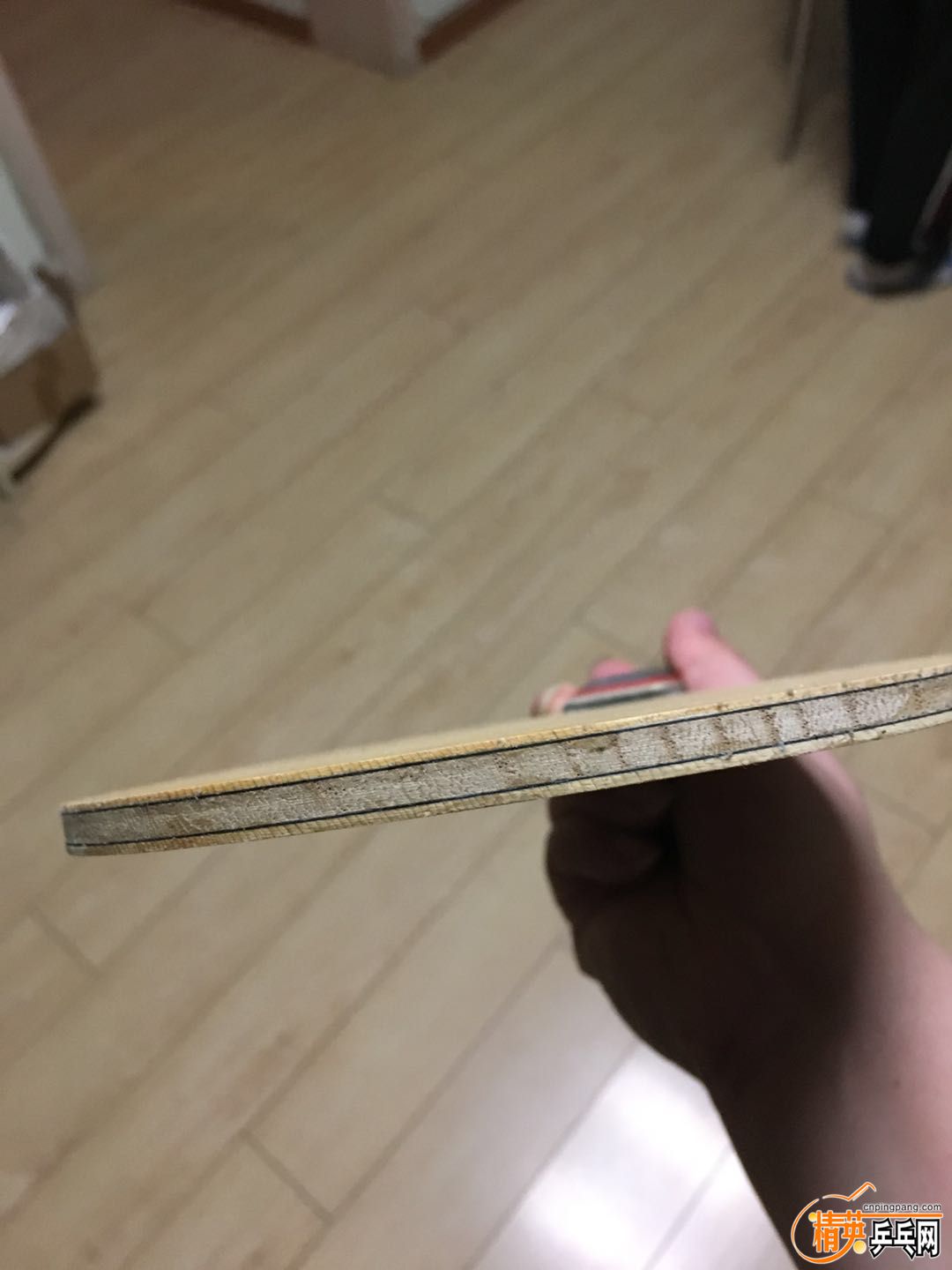 547196735868519201.jpg
