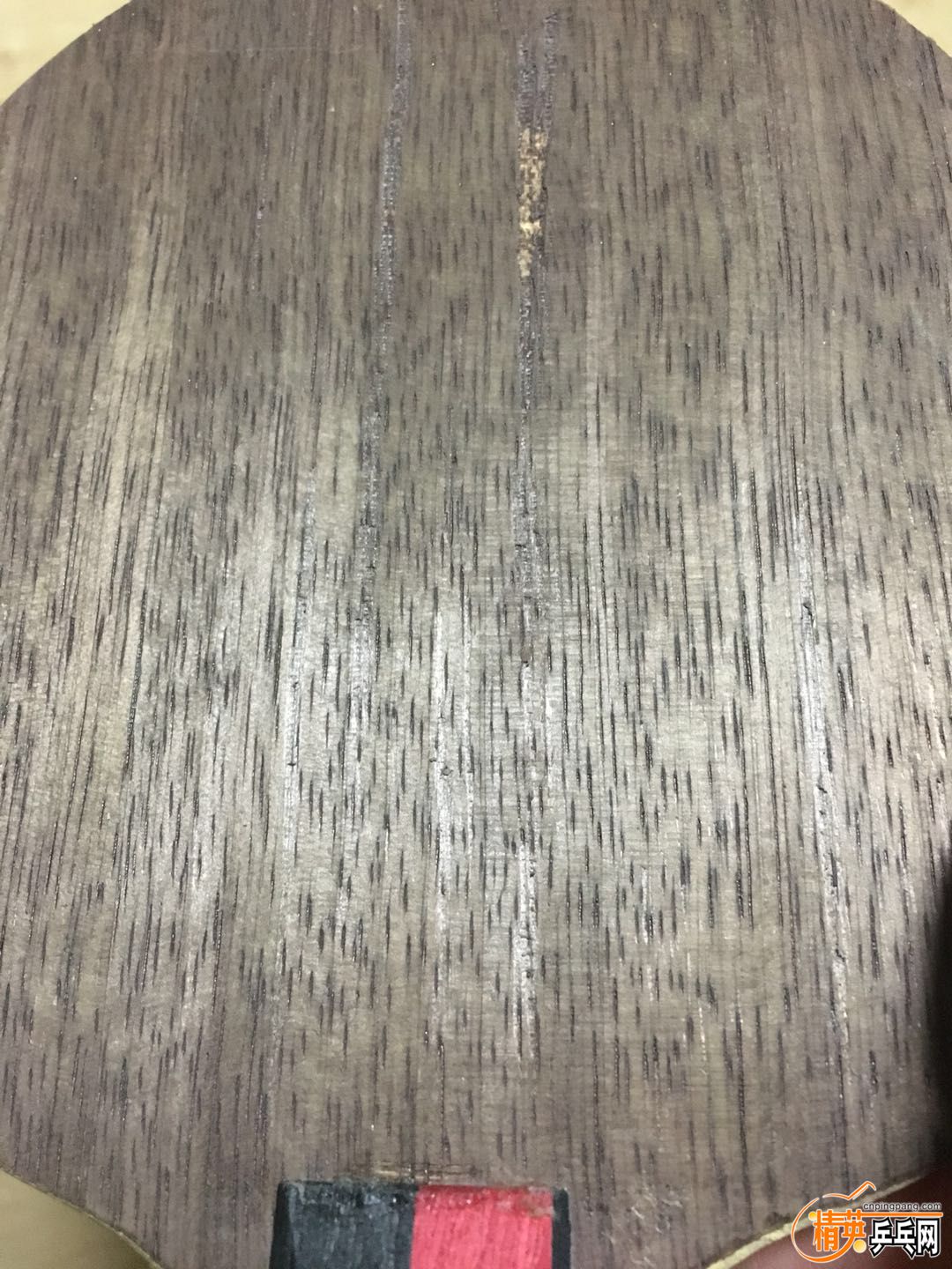 239154773729784770.jpg