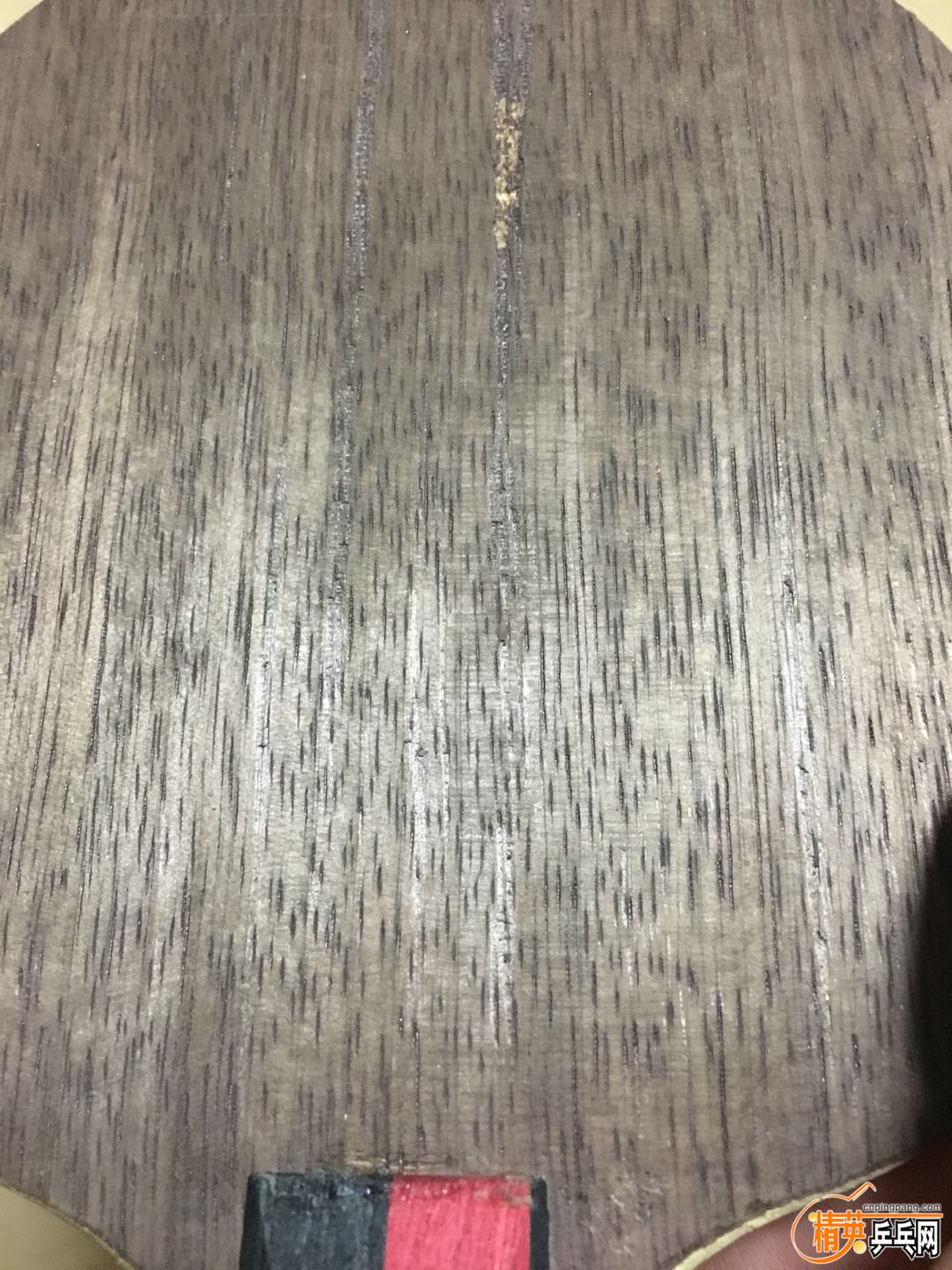 500927467891628989.jpg