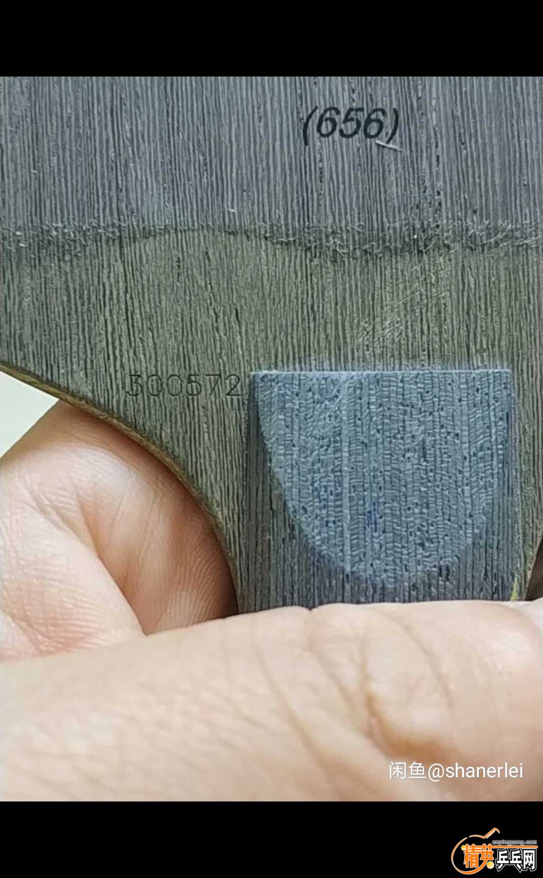 1522657525772.jpg