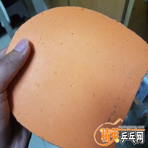 20180402_223356.jpg