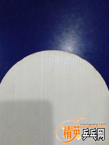 IMG_20180403_154914.jpg
