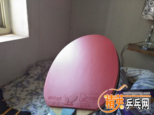 IMG20180331151314.jpg