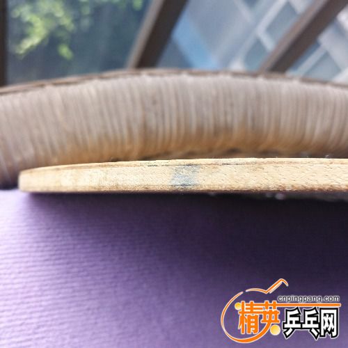 IMG_20180406_150459.jpg