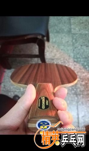 1523108947697.jpg