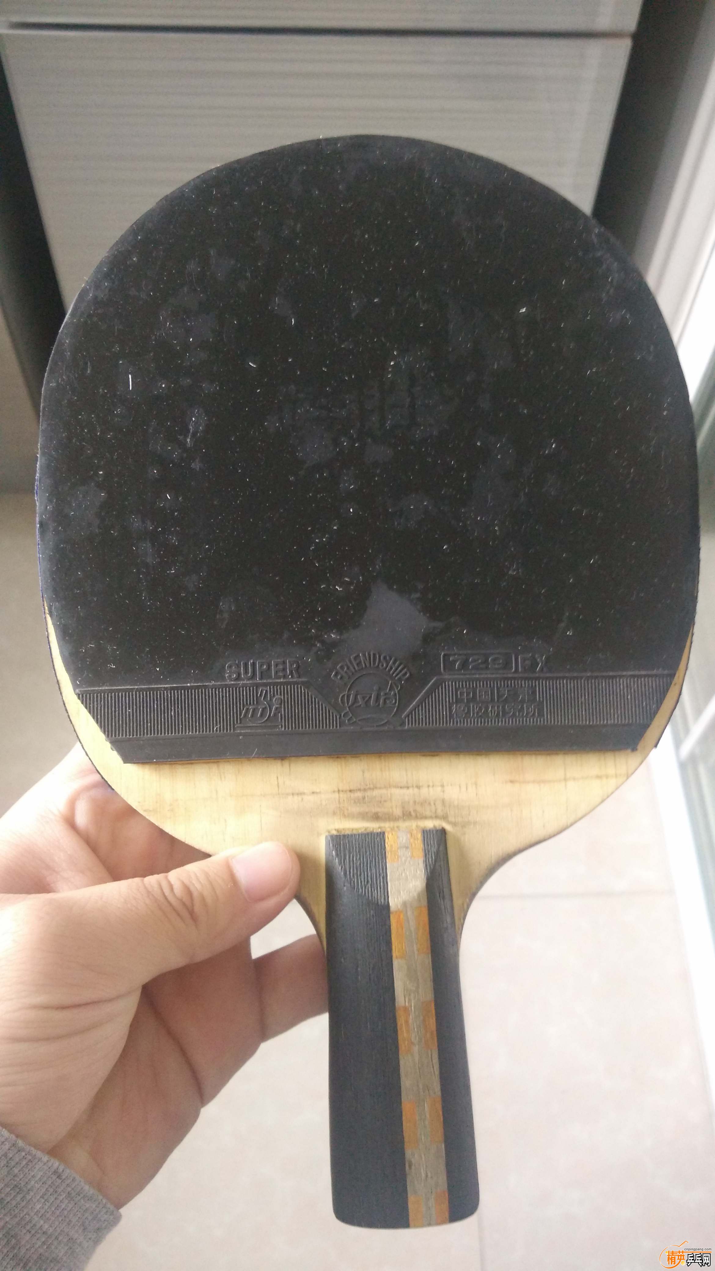 729