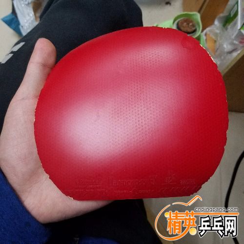 20180408_193028.jpg