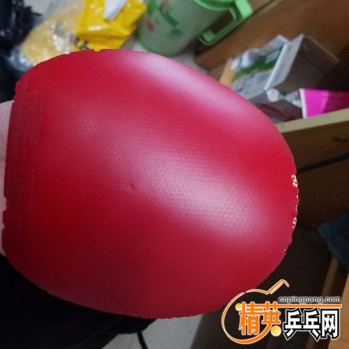 20180409_135848.jpg