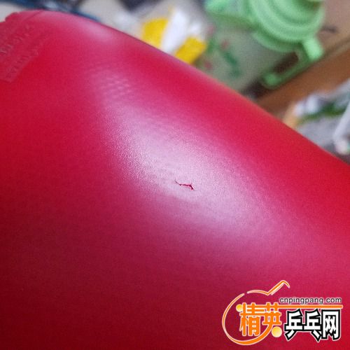 20180409_135854.jpg