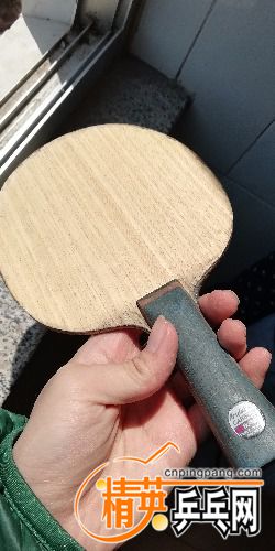 IMG_20180409_121532.jpg
