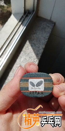 IMG_20180409_121558.jpg