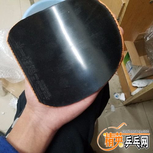 20180416_180233.jpg
