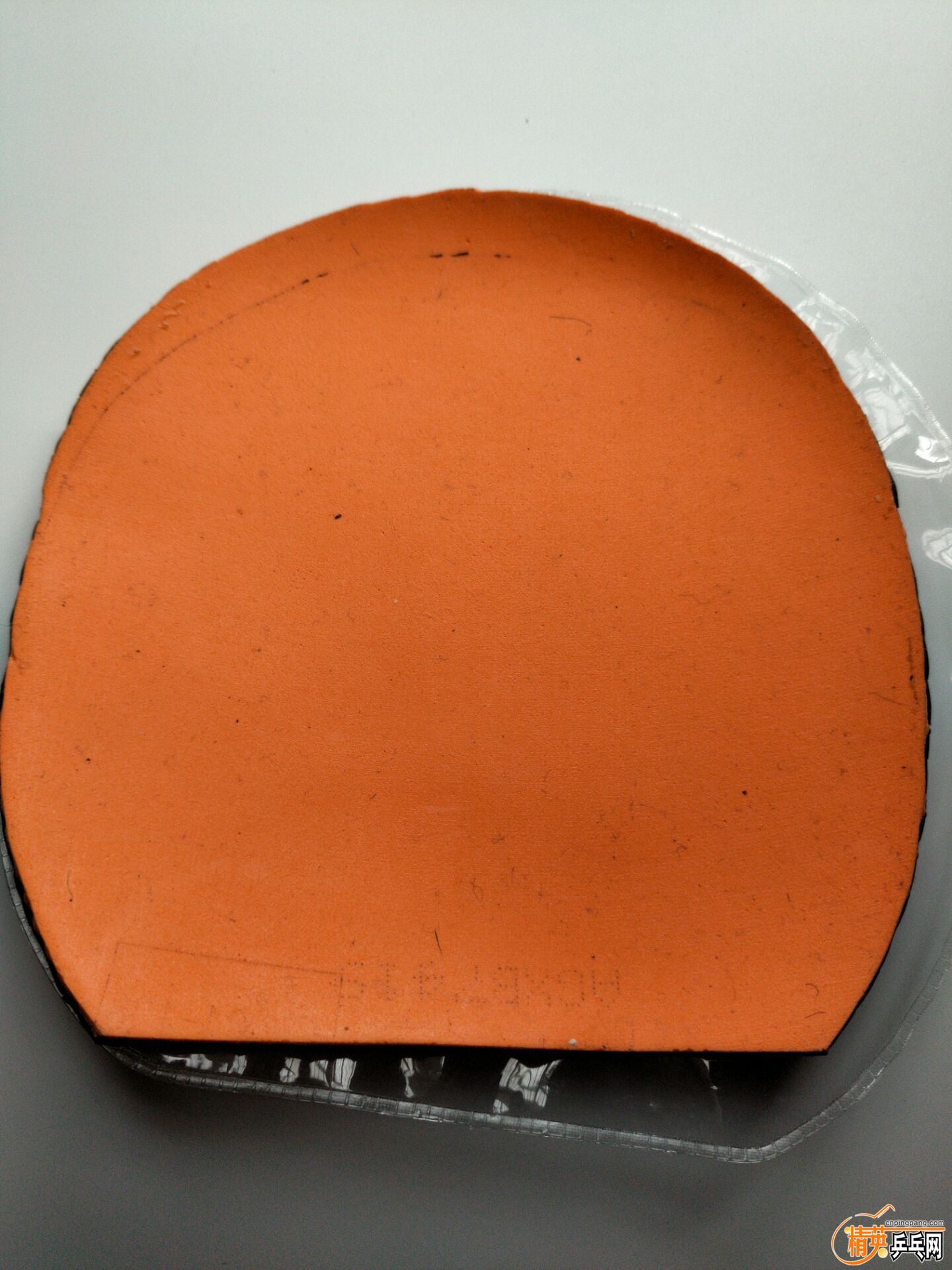 4D58AEFE7087C3B72C2B606B99EF8E9D.jpg