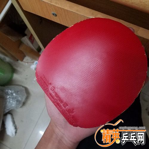 20180418_183037.jpg