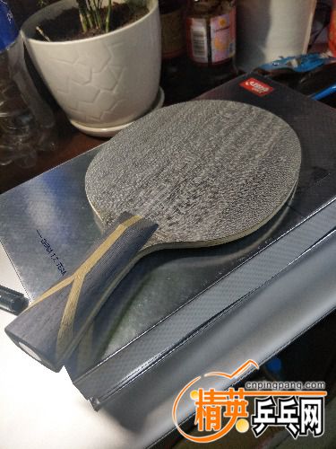 IMG20180413120819.jpg