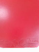 P80419-150026.jpg.JPG
