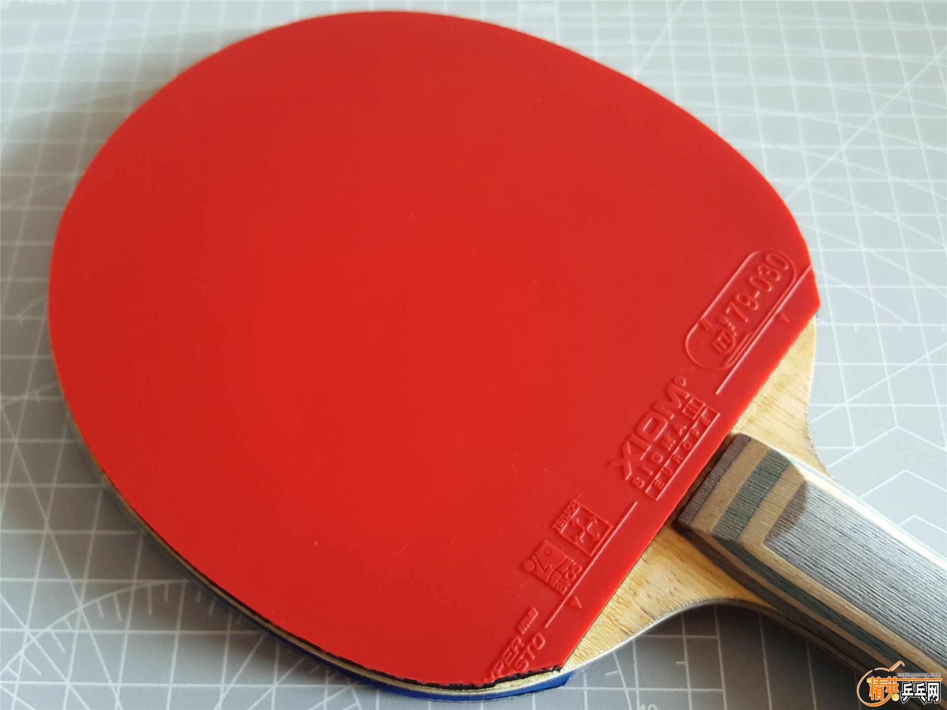 ������2ŷ�� (7).jpg