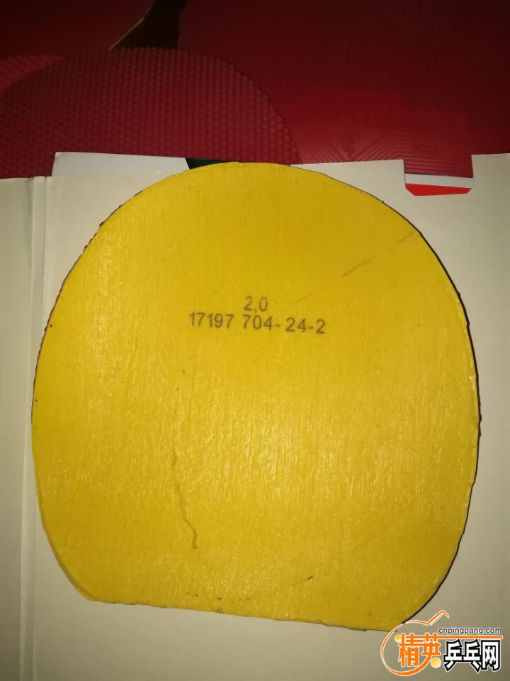 79Y03(7O8`78B_8J~K`P@UY.jpg